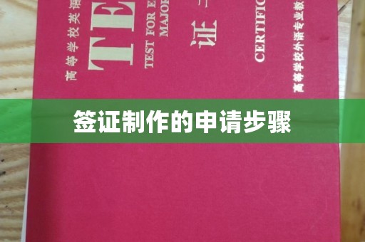 蚌埠签证制作的申请步骤
