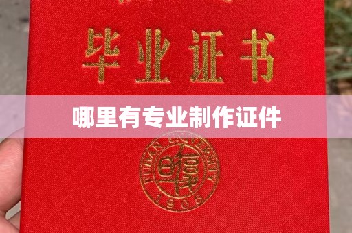 蚌埠哪里有专业制作证件