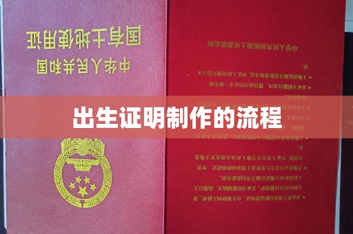 蚌埠出生证明制作的流程
